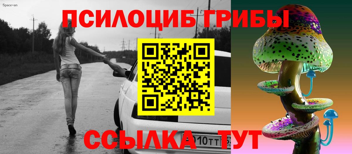 Ивантеевка  Псилоцибиновые грибы Magic Shrooms  Вход с VPN 